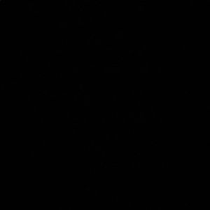 Meet your Posher, Ladybug